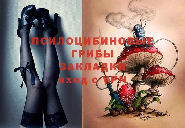 эйфоретик Иннополис