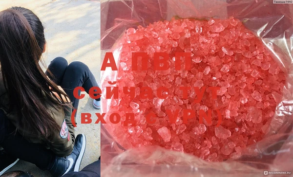 спиды Инсар