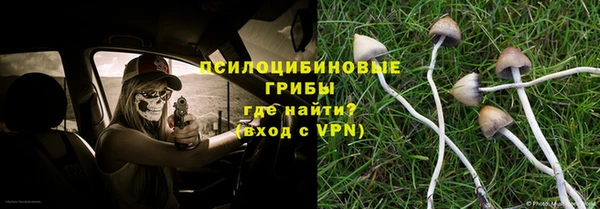 эйфоретик Иннополис