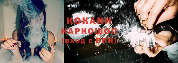 спиды Инсар