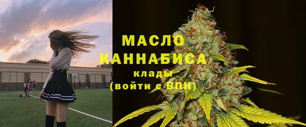 спиды Инсар